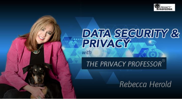 Data Security and Privacy with the Privacy Professor